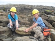 Fossil Hunting at Folkestone
